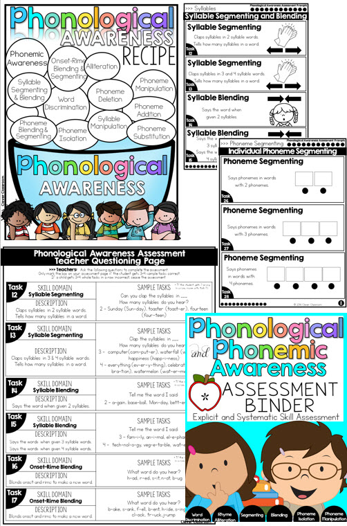 Phonological and Phonemic Awareness Assessment Binder